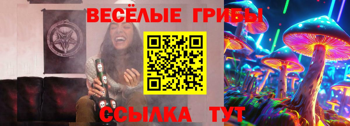 Павлово  Псилоцибиновые грибы Cubensis  Вход с VPN  Галлюциногенные грибы Psilocybine cubensis 