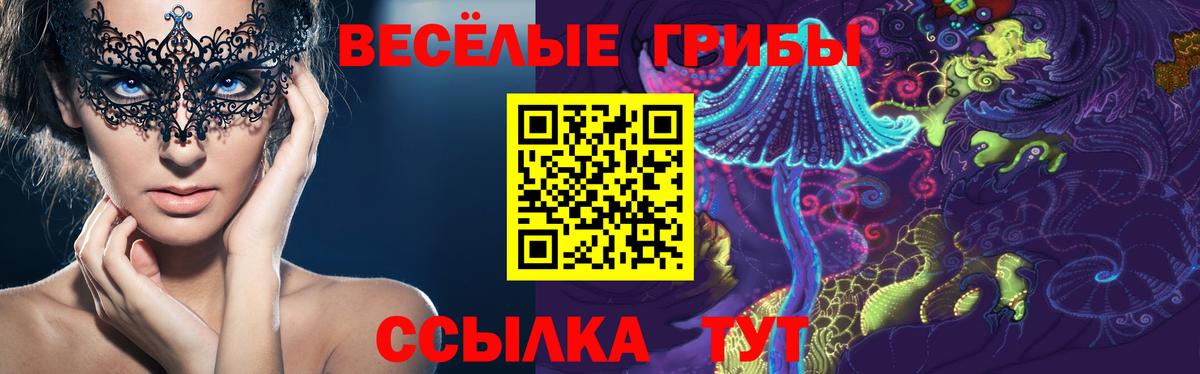 Галлюциногенные грибы мухоморы Павлово