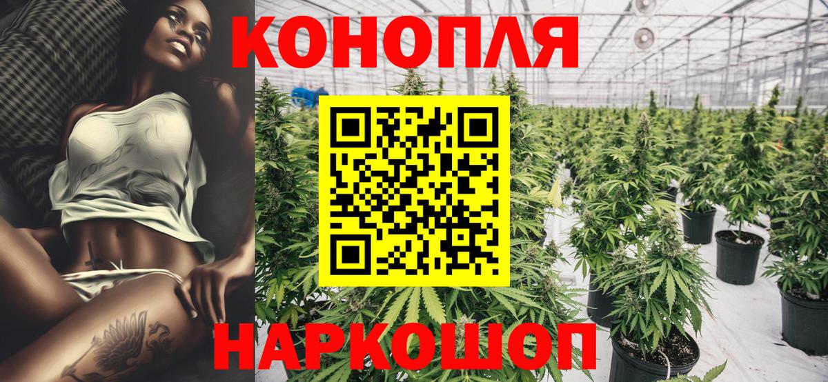 Бошки Шишки AK-47  Вход с VPN  Павлово  Бошки марихуана тримм  Каннабис White Widow 